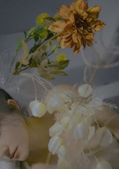 白夜追凶在线播放