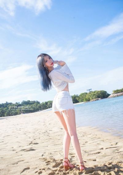 卫子夫电视剧